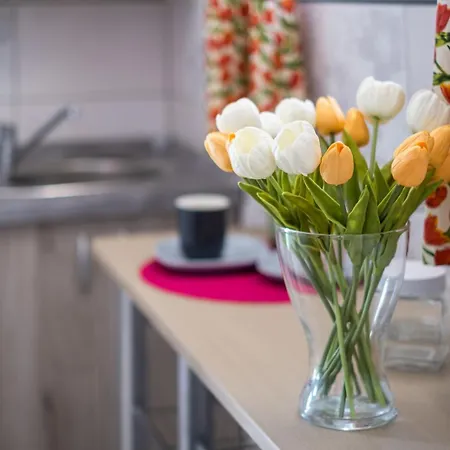 Apartment Szuerke Vendeghaz Balatonkenesen *