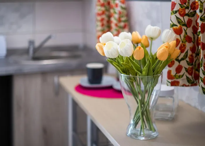 Apartmán Szuerke Vendeghaz Balatonkenesen *